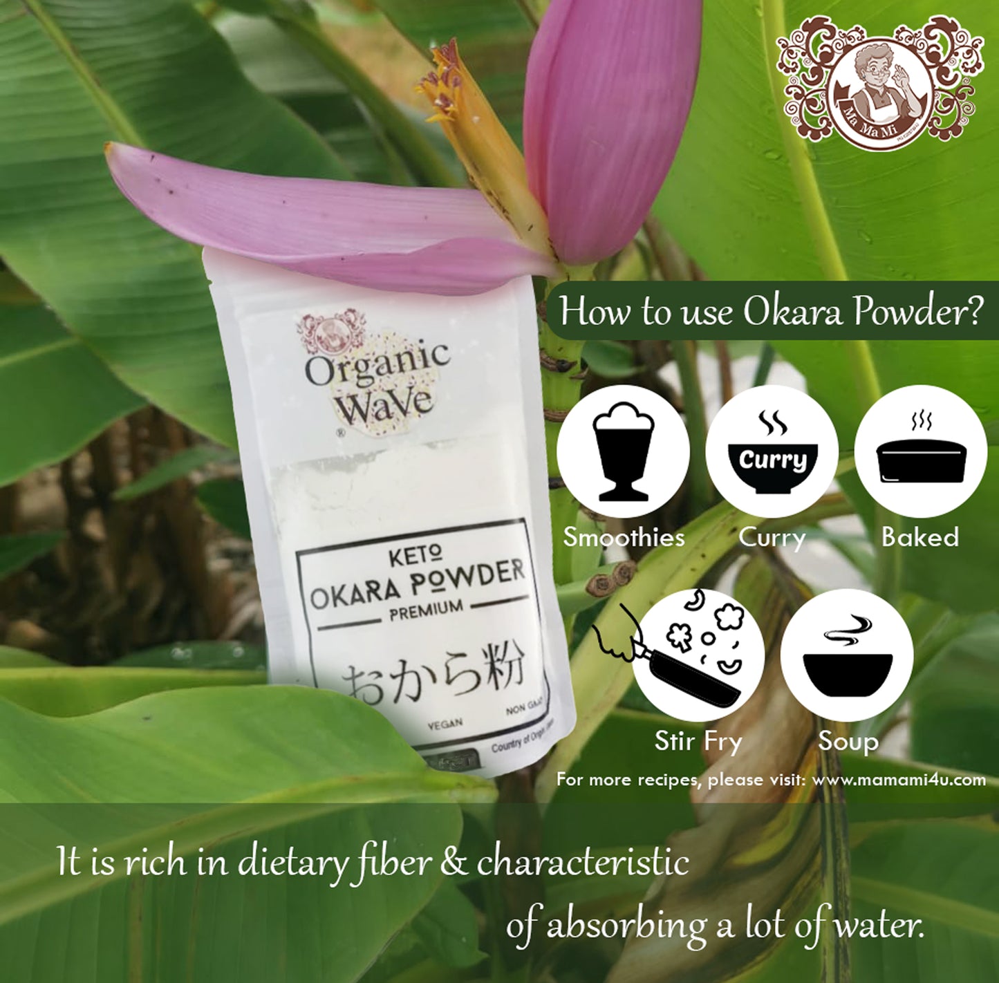 Mamami Okara Powder (100g) - Mamami Shoppe