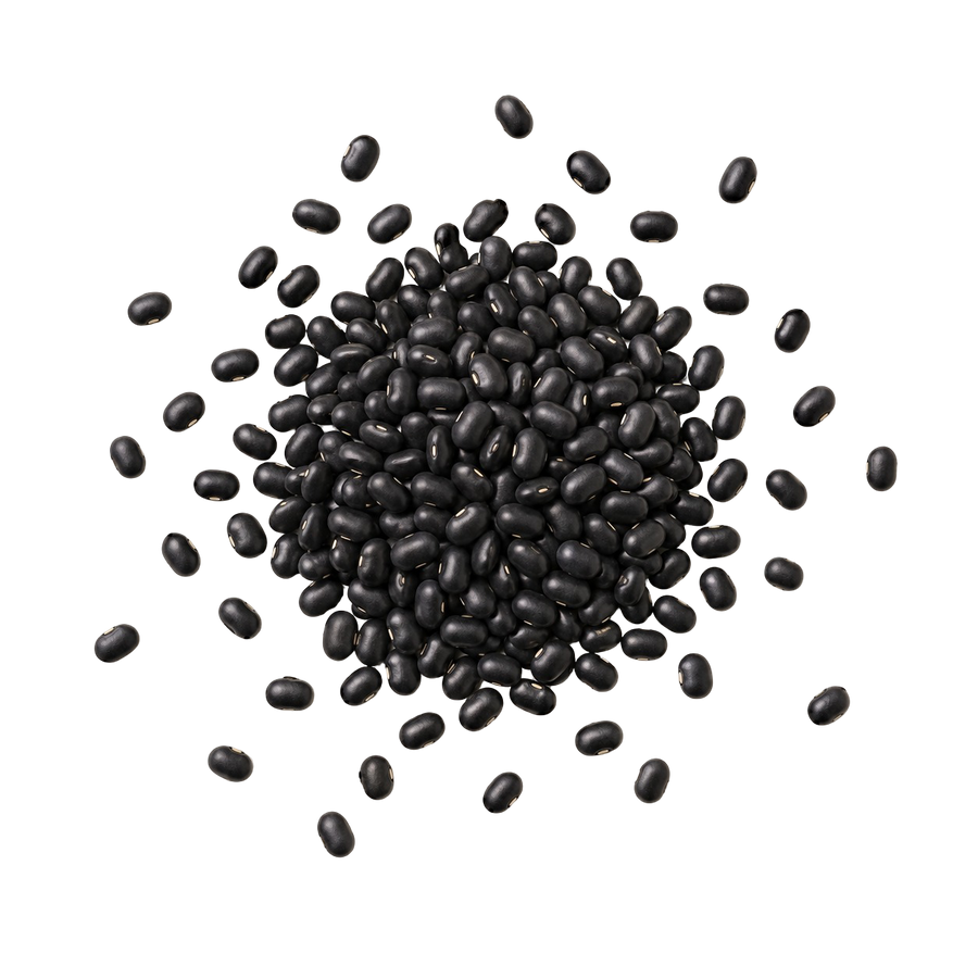 Black Bean