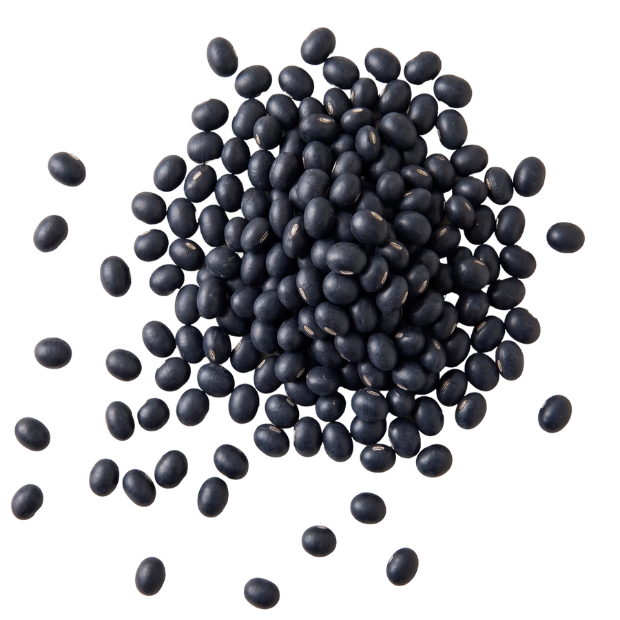 Black Bean