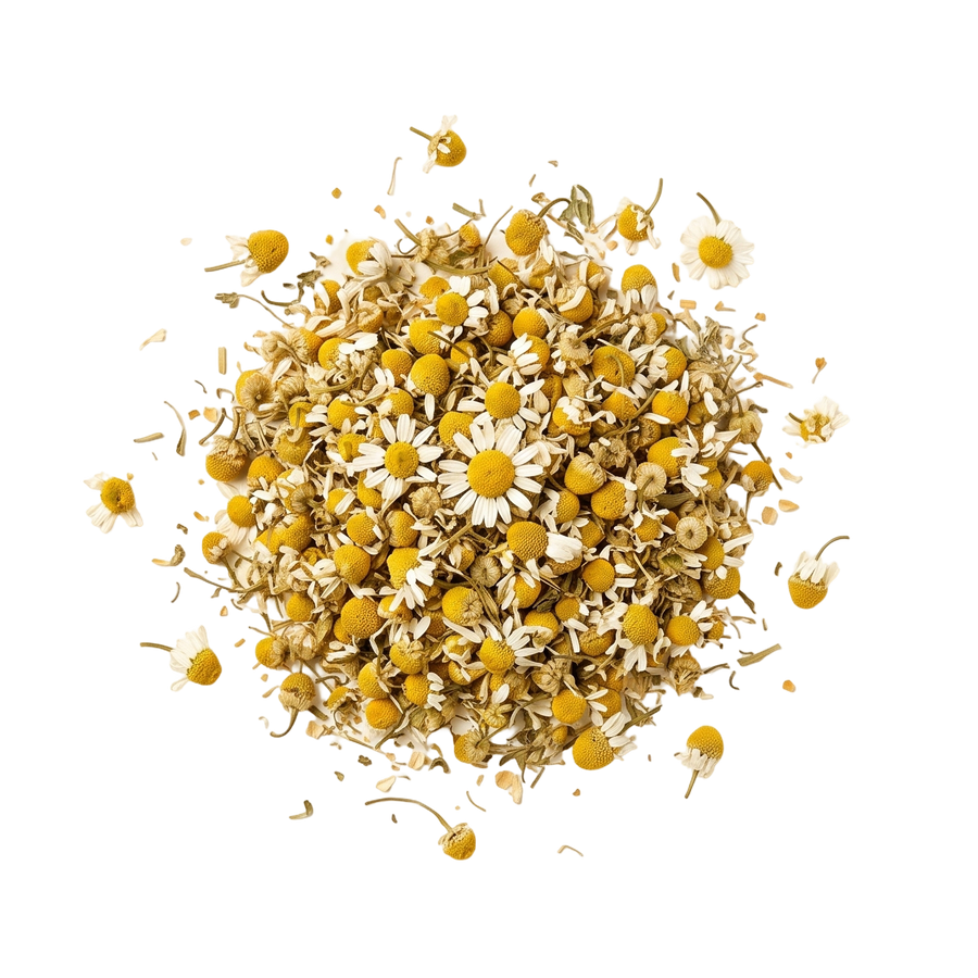 Chamomile
