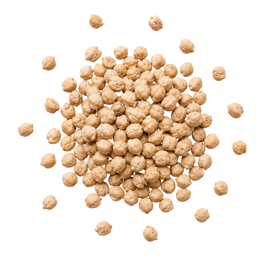 Chickpea  