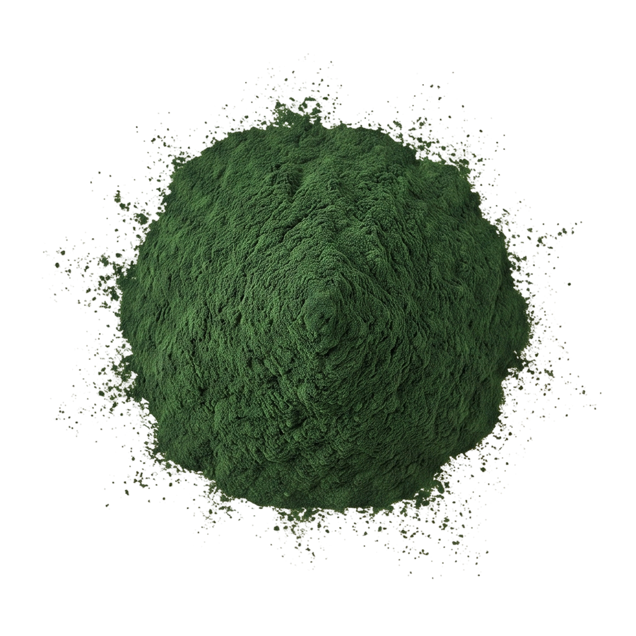 Chlorella Powder