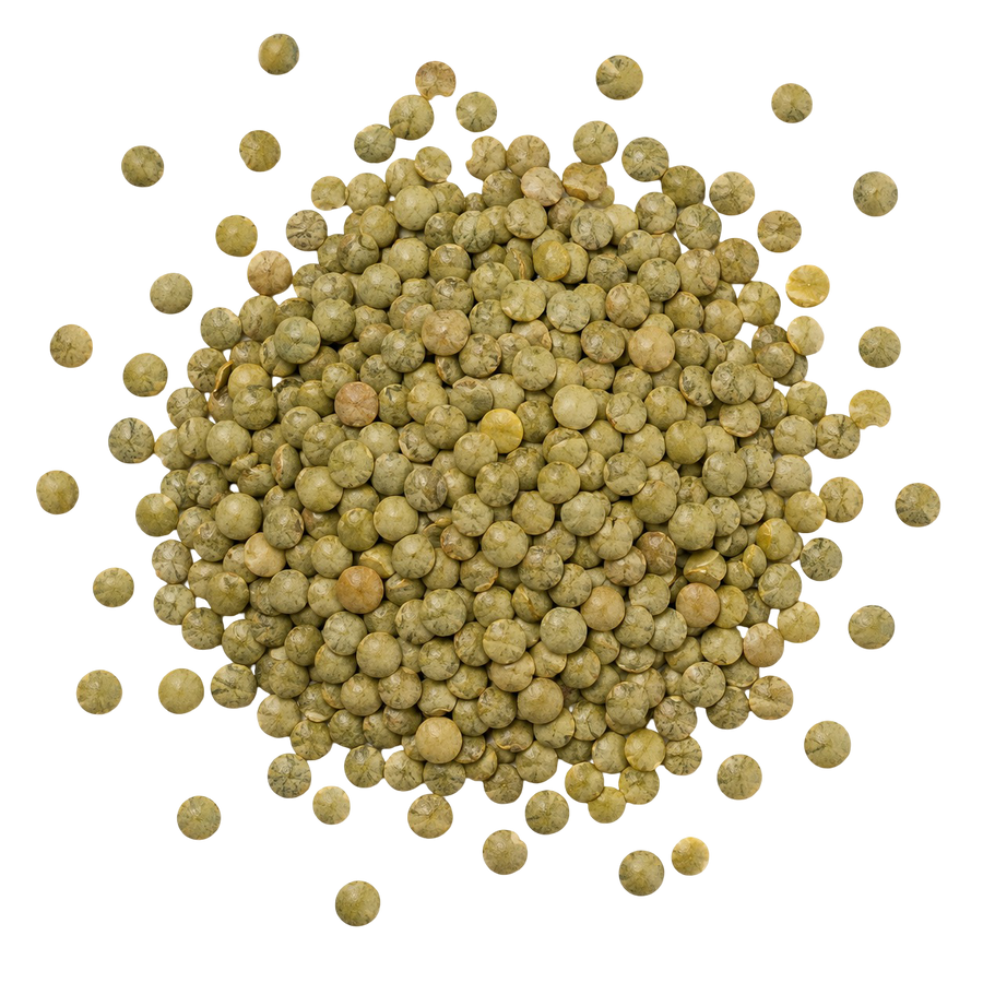 Green Lentils  