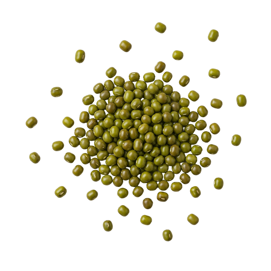 Mung Bean 