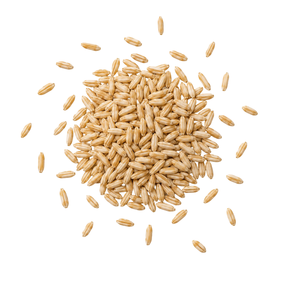 Oat Groats  