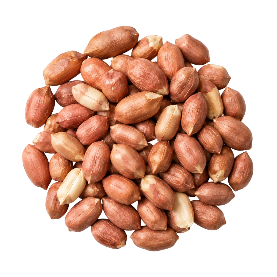 Peanut