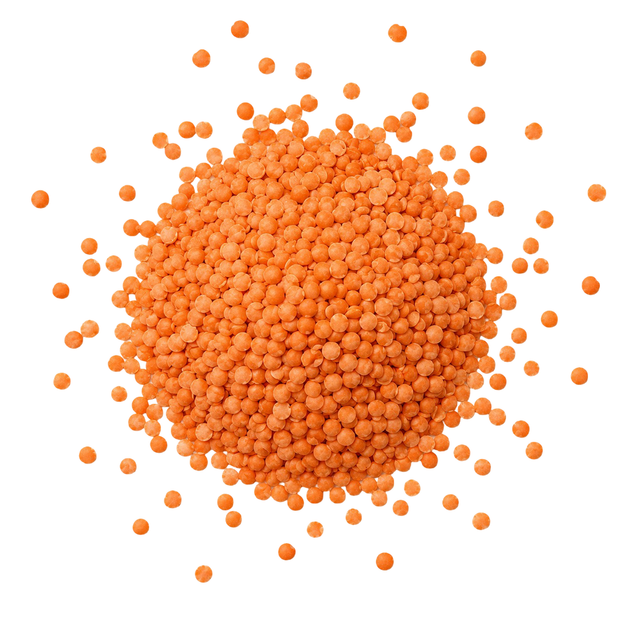 Red Lentils  