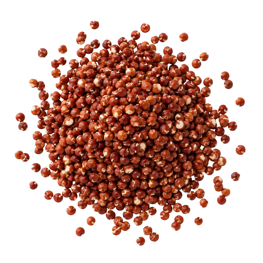 Organic Red Quinoa  