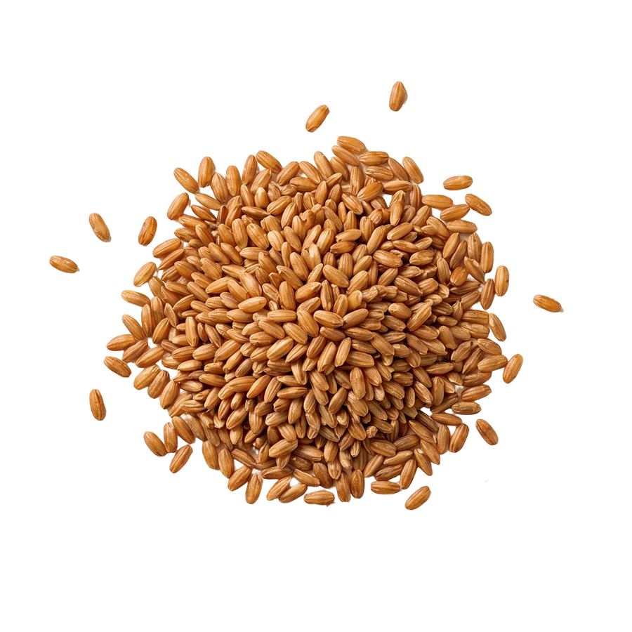 Roasted Brown Rice