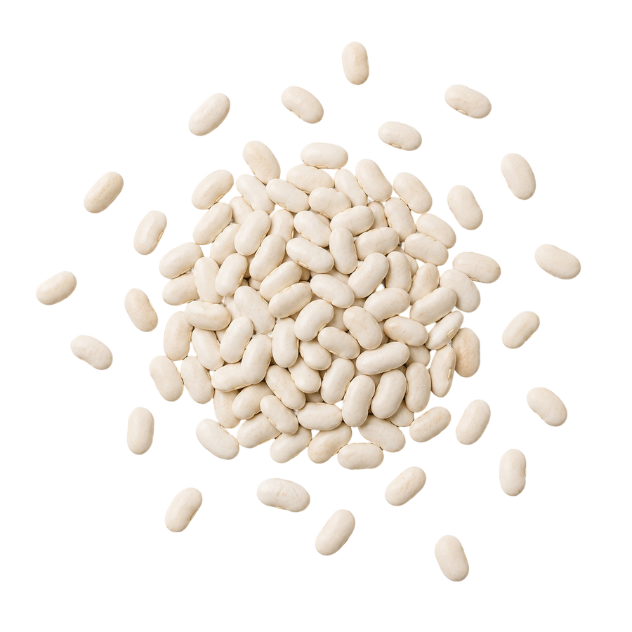White Kidney Bean  
