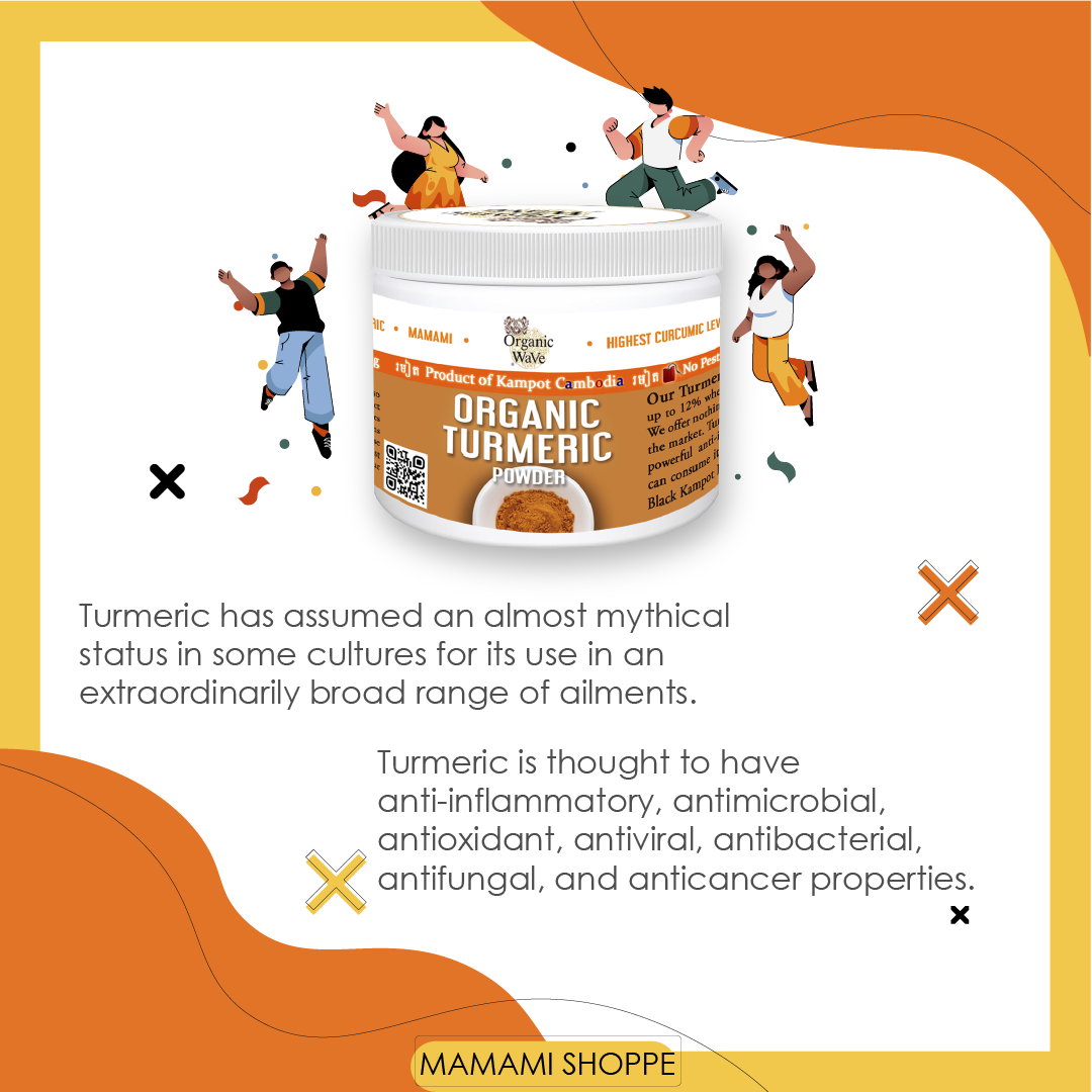 Mamami Organic Premium Turmeric Powder 100g - Mamami Shoppe