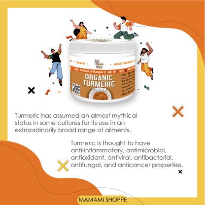 Mamami Organic Premium Turmeric Powder 100g - Mamami Shoppe