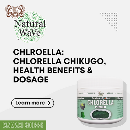 Mamami Natural Wave Chlorella Powder (500g) - Mamami Shoppe