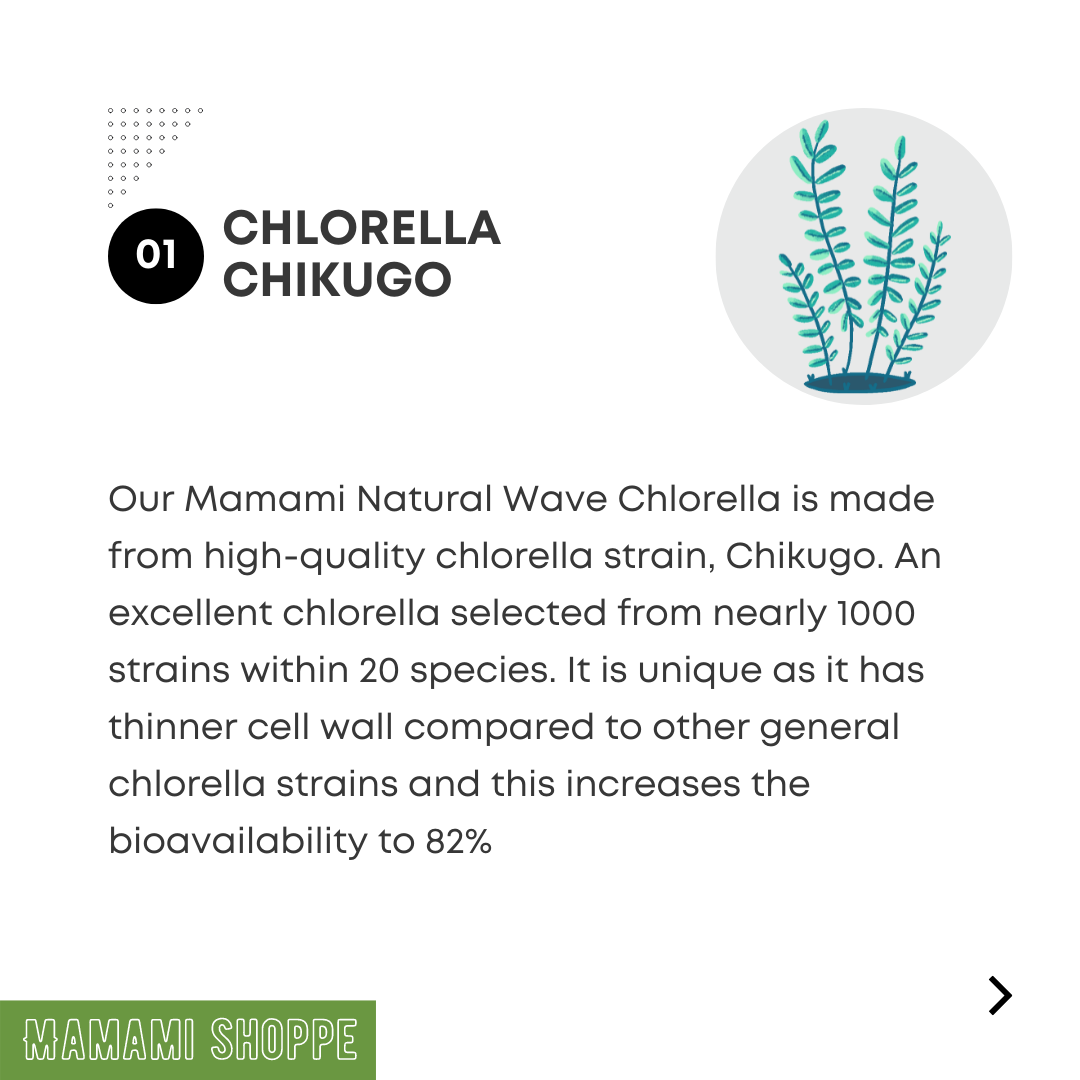 Mamami Natural Wave Chlorella Powder (500g) - Mamami Shoppe