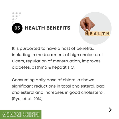 Mamami Natural Wave Chlorella Powder (500g) - Mamami Shoppe