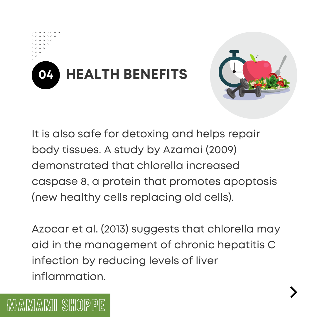 Mamami Natural Wave Chlorella Powder (500g) - Mamami Shoppe