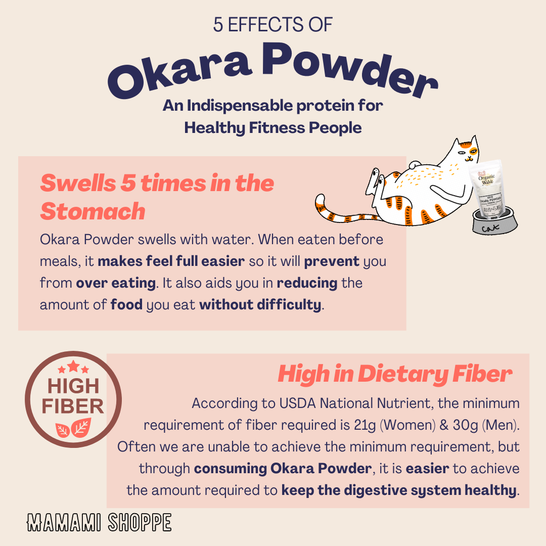 Mamami Okara Powder (100g) - Mamami Shoppe