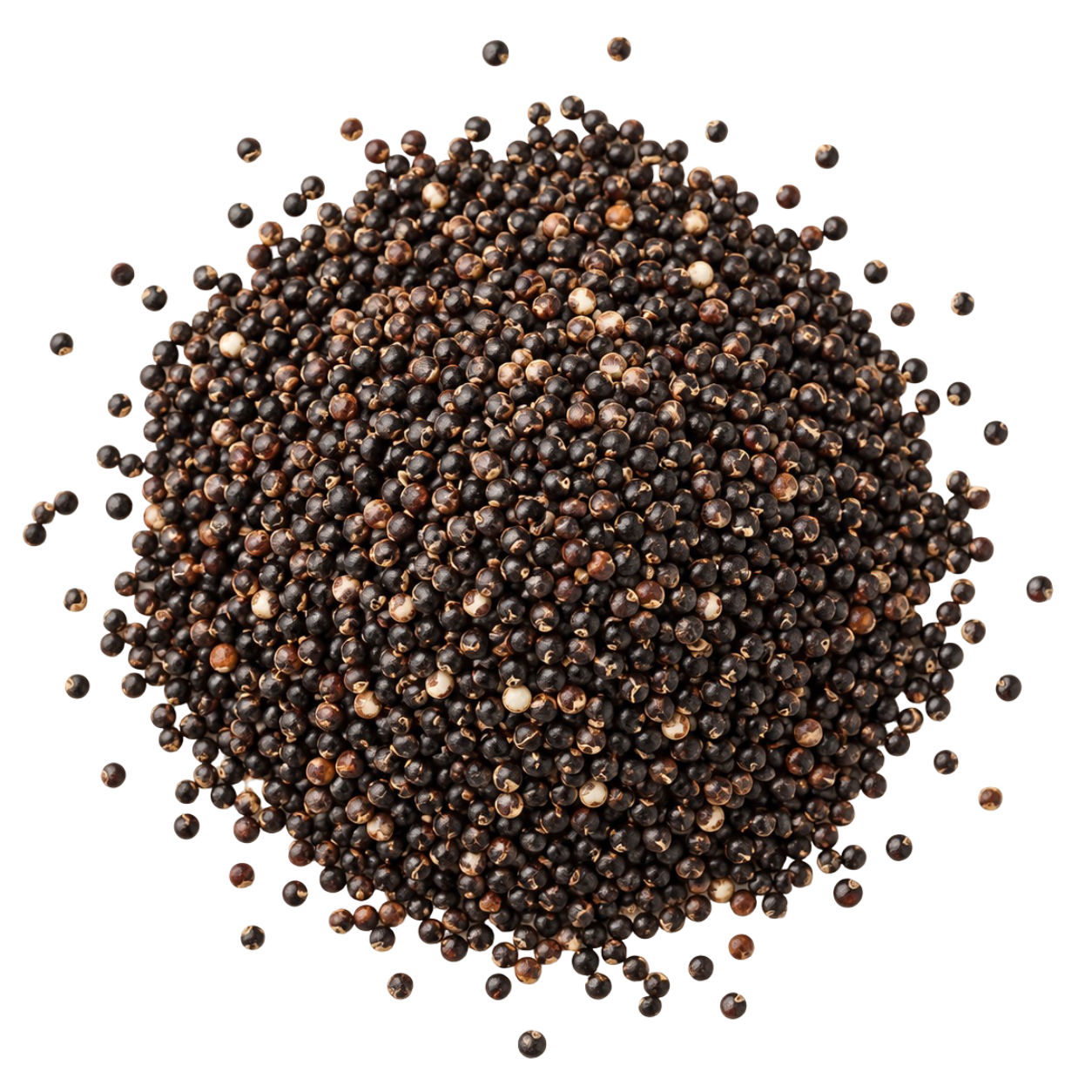 Black Quinoa grains
